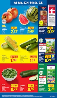 Äpfel im Lidl Prospekt "LIDL LOHNT SICH" mit 68 Seiten (Bremerhaven)