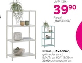 Regal „Havanna“ im Angebot bei mömax in Heidenheim Regal „Havanna“ Angebote bei mömax Heidenheim für 39,90 €