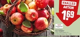 Rote Tafeläpfel Angebote von REWE Regional bei REWE Elmshorn für 1,69 €