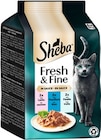 Fresh & Fine im Angebot bei REWE in Rosenheim Fresh & Fine Angebote von Sheba bei REWE Rosenheim für 2,19 €