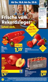 Erdbeeren im Lidl Prospekt in Plauen Aktueller Lidl Prospekt mit Erdbeeren, "LIDL LOHNT SICH", Seite 62
