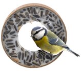 Aktuelle Eis Angebote bei Wreesmann in Cottbus Aktuelles Meisenringe Angebot bei Wreesmann in Cottbus ab 1,49 €