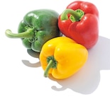 Paprika Mix im aktuellen Netto mit dem Scottie Prospekt