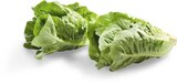 Aktuelles Mini-Romanasalat Angebot bei Netto Marken-Discount in Nürnberg ab 0,79 €