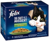 Aktuelles Katzennahrung Angebot bei REWE in Lübeck ab 3,99 €