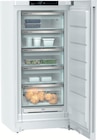 Aktuelles Gefrierschrank FNa 6635-20 Angebot bei EURONICS in Dresden ab 1.499,00 €