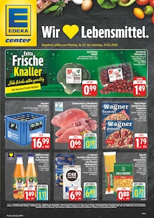 Schweinefleisch im E center Prospekt "Wir lieben Lebensmittel!" mit 28 Seiten (Nürnberg)