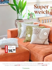 Möbel im Blumen Ostmann Prospekt in Emden Aktueller Blumen Ostmann Prospekt mit Möbel, "Bring Schwung in dein Zuhause", Seite 2