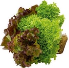 EDEKA Georgsmarienhütte - Trio Salat Angebot im Prospekt Trio Salat bei EDEKA im Georgsmarienhütte Prospekt für 1,49 €