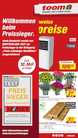 Pflanzen im toom Baumarkt Prospekt in Neu-Ulm Aktueller toom Baumarkt Prospekt mit Pflanzen, "Respekt, wer's selber macht.", Seite 1