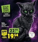 Mäc-Geiz Lutherstadt Eisleben - Katze Angebot im Prospekt Katze bei Mäc-Geiz im Lutherstadt Eisleben Prospekt für 19,54 €