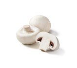 Weiße Riesen-Kulturchampignons bei Lidl im Nortorf Prospekt für 1,99 €