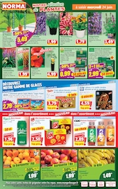 Bière en promo dans le catalogue Norma à la page 4