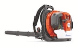 Promo Souffleur 360bt à 749,00 € dans le catalogue Husqvarna à Ivry-le-Temple