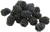 Brombeeren im Angebot bei REWE in Duisburg Brombeeren Angebote von REWE Beste Wahl bei REWE Duisburg für 1,99 €