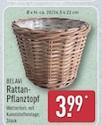 Rattan-Pflanztopf von BELAVI für 3,99 € bei ALDI Nord im Angebot Rattan-Pflanztopf von BELAVI im aktuellen ALDI Nord Prospekt