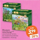 Blumenmischung im aktuellen tegut Prospekt