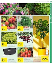 Jardinière Angebote im Prospekt "Carrefour" von Carrefour auf Seite 67