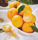 Intermarché Super Naintré - Promo Mandarine Promo Mandarine à 2,89 € dans le catalogue Intermarché Super à Naintré