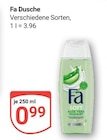 Dusche im aktuellen Prospekt bei GLOBUS in Bärenbach