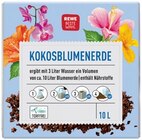REWE Grebenstein - Kokosblumenerde Angebot im Prospekt Kokosblumenerde bei REWE im Grebenstein Prospekt für 2,29 €