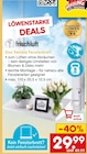 Das flexible Fensterbrett von frischluft im aktuellen Netto Marken-Discount Prospekt für 29,99 €