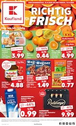 Kaufland Prospekt für Gräfenhainichen: "Aktuelle Angebote", 62 Seiten, 13.11.2025 - 19.11.2025