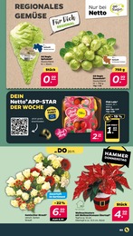 Zimmerpflanzen im Netto mit dem Scottie Prospekt Günstig. Besser. Für Dich. auf S. 3