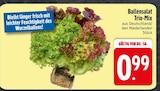 Ballensalat Trio-Mix Angebote bei EDEKA Ingolstadt für 0,99 €