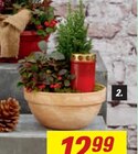 Aktuelles Schale mit Grabkerze Angebot bei toom Baumarkt in Karlsruhe ab 15,99 €
