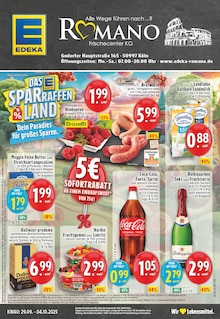 EDEKA Prospekt "Aktuelle Angebote" mit  Seiten (Köln)