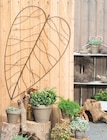 XL-BLATT im Angebot bei ROSENGUT Langerwisch in Potsdam XL-BLATT Angebote bei ROSENGUT Langerwisch Potsdam für 19,99 €