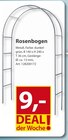 Rosenbogen im Angebot bei Sonderpreis Baumarkt in Göttingen Rosenbogen Angebote bei Sonderpreis Baumarkt Göttingen für 9,00 €
