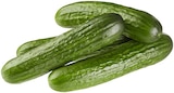 Aktuelles Mini Gurken Angebot bei REWE in Leverkusen ab 0,49 €