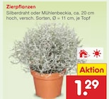 Angebot im Netto Marken-Discount Sinzheim Prospekt Netto Marken-Discount Sinzheim Prospekt mit im Angebot für 1,29 €