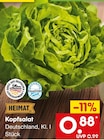 Kopfsalat im Netto Marken-Discount Prospekt Kopfsalat im aktuellen Netto Marken-Discount Prospekt für 0,88 €