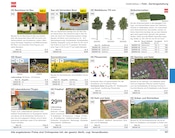 Aktueller Conrad Electronic Prospekt mit Gartendeko, "Modellbahn 2024/25", Seite 189