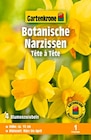 Botanische Narzissen Tête à Tête Angebote von Gartenkrone bei Hagebaumarkt Laatzen für 1,29 €