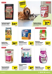 Aktueller Hagebaumarkt Prospekt mit Mars, "VERSCHÖNERE MIT UNS DEINEN GARTEN", Seite 15