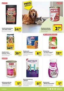 Katzenstreu im Hagebaumarkt Prospekt "VERSCHÖNERE MIT UNS DEINEN GARTEN" mit 16 Seiten (Trier)