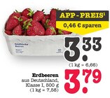 Aktuelles Erdbeeren Angebot bei E center in Pforzheim ab 3,33 €