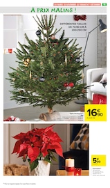 Sapin Nordmann Angebote im Prospekt "PLATS D'HIVER" von Carrefour Market auf Seite 13