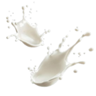 Fitline Protein von Exquisa im aktuellen Kaufland Prospekt