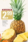 Costa Rica Ananas im WEZ Prospekt zum Preis von 2,99 €