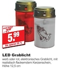 LED Grablicht bei bauSpezi im Prospekt "" für 5,99 €