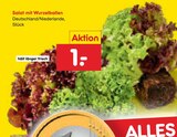Salat mit Wurzelballen für 1,00 € bei Netto Marken-Discount im Angebot Salat mit Wurzelballen im aktuellen Netto Marken-Discount Prospekt