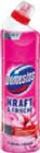 WC-Gel im Angebot bei Netto Marken-Discount in Leonberg WC-Gel Angebote von Domestos bei Netto Marken-Discount Leonberg für 1,69 €
