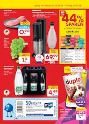 Weintrauben im Netto Marken-Discount Prospekt in Gera Aktueller Netto Marken-Discount Prospekt mit Weintrauben, "Aktuelle Angebote", Seite 49