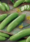 Gurke und Zucchini Angebote bei toom Baumarkt Essen für 3,49 €