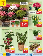 Garten im Netto Marken-Discount Prospekt in Jena Aktueller Netto Marken-Discount Prospekt mit Garten, "Aktuelle Angebote", Seite 14